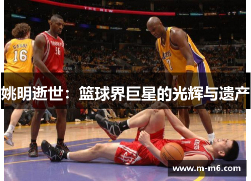 姚明逝世：篮球界巨星的光辉与遗产