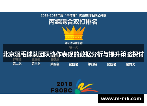 北京羽毛球队团队协作表现的数据分析与提升策略探讨