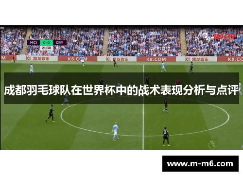 成都羽毛球队在世界杯中的战术表现分析与点评