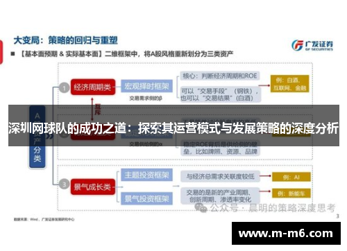 深圳网球队的成功之道：探索其运营模式与发展策略的深度分析