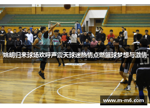 姚明归来球场欢呼声震天球迷热情点燃篮球梦想与激情