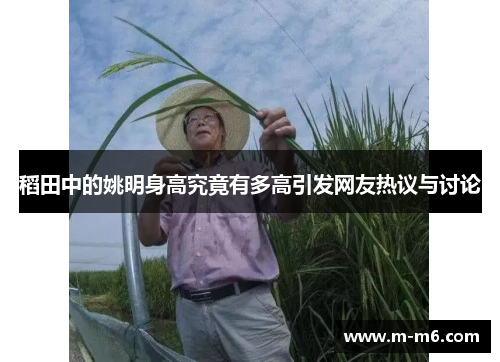 稻田中的姚明身高究竟有多高引发网友热议与讨论
