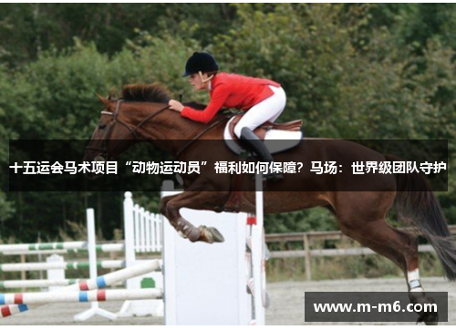 十五运会马术项目“动物运动员”福利如何保障？马场：世界级团队守护